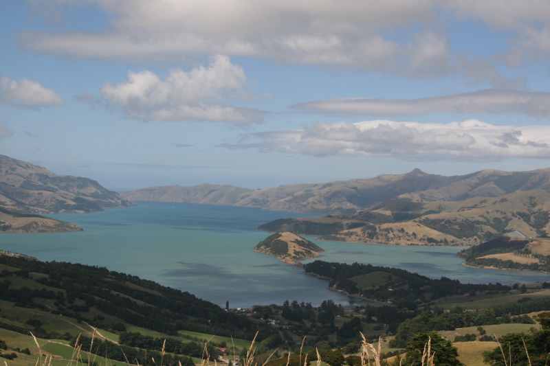 Nieuw-Zeeland 2011 - 2132